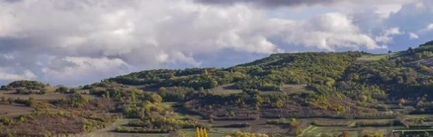 NOUVEAUX ARRIVANTS