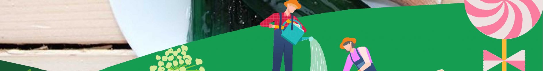 LE JARDIN BONBONNIER ET LA CONFÉRENCE DÉGUSTATIVE
