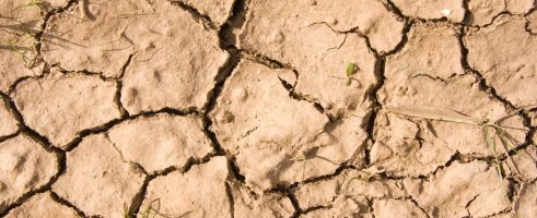 projet de recherche SEHSAR