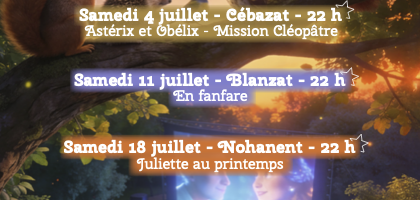 cinéma en plein air : une toile sous les étoiles